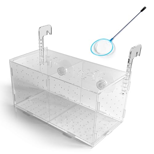 Image of Disco Radical Fish Breeding Box for Tank or Aquarium - Isolation Box and Fish Hatchery Container Kit - Adjustable, Acrylic - Complete with Small Fish Net, Clear