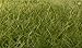 Woodland Scenics FS625 Static Grass, Dark Green 12mm