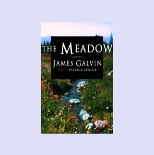 The Meadow