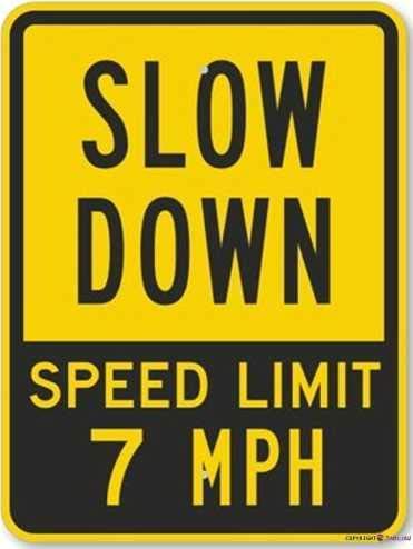 Nansicy A~jEŔ X[_E - x7 MphAϋvHW|OǑ K[W Xg[g[h ^uLŔ 8x12C`