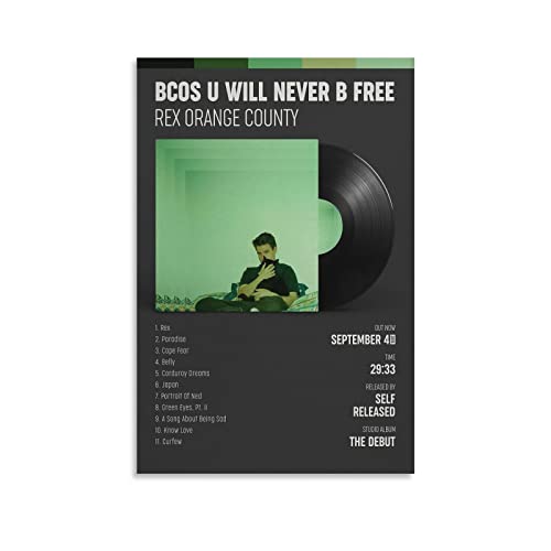 Poster Rex Orange County BCOS U WILL Never B FREE 2 affiche décoration murale 40x60
