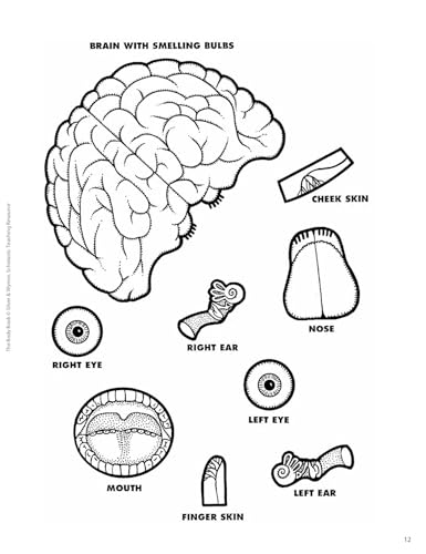 The The Body Book: Easy-to-Make Hands-on Models That Teach - Image 9
