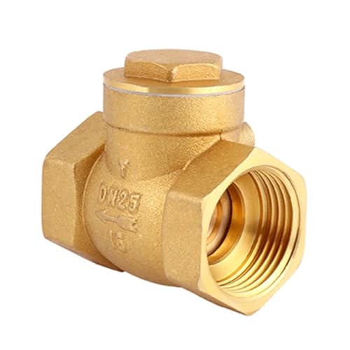 Clapet anti-retour en laiton pour stopper les fuites et reflux d'eau DN40 - 5