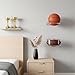 MAQUITA 4 Pcs Basketball Holder Wall Mount, Acrylic Football Display Rack, Clear Ball Storage Hanger Wall Mount