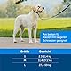 PetSafe Easy Walk Kopfhalfter, Aus widerstandsfähigem und weichem Nylon, Leichtes An- und Ausziehen, Größe L, Schwarz