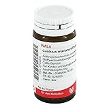 CARDUUS MARIANUS/OXALIS Globuli 20 g