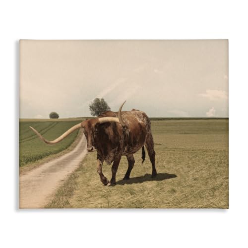 Stupell Industries 'Longhorn Cattle Grazing Scenic Countryside'| Canvas Art