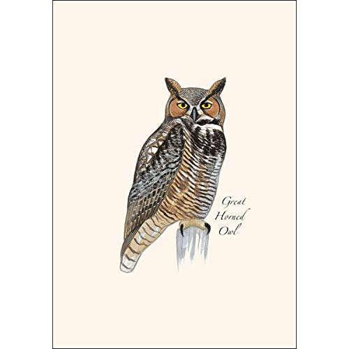 Image of Earth Sky + Water - Great Horned Owl Notecard Set - 8 Blank Cards with Envelopes