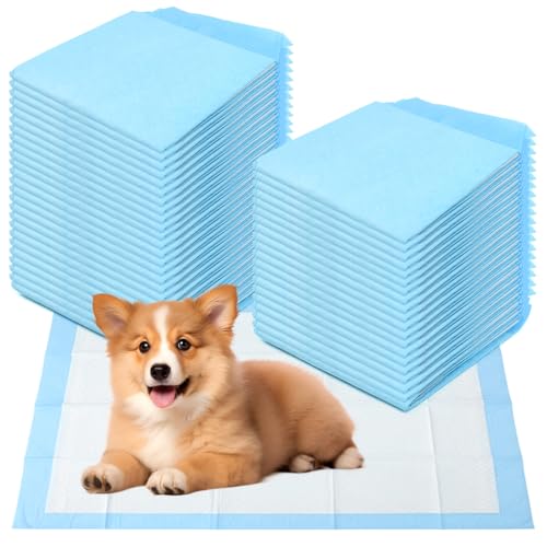 UHETLET 40 PCS Empapadores Perros 60x60cm, Almohadillas de Adiestramiento de Perros Cachorros, Desechables Almohadillas de Entrenamiento para Perro y Cachorros, Resguardos para Cães Absorbentes