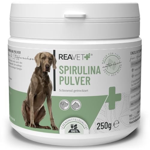 ReaVET Spirulina Pulver für Hunde & Katzen 250g - Mikroalge unterstützt Haut & Fell, Immunsystem & Stoffwechselprozesse, Vitamine & Mineralstoffe