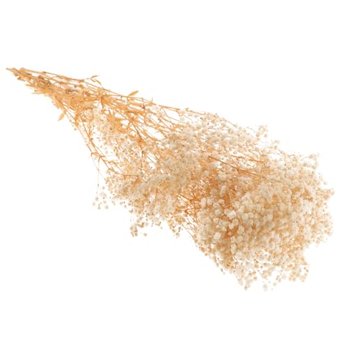 Arreglo de flores secas Gypsophila para decoración miniatura 6
