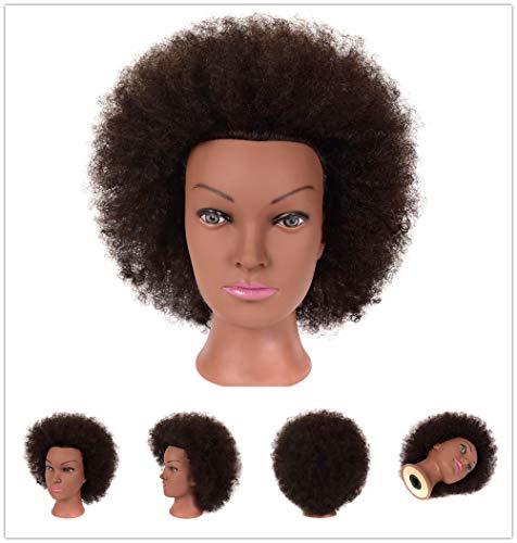 Afro Head Afro Mannequin Head 100% Human Hair Head Hairdresser African American Training Head Manikin Cosmetology Doll Hair Afro Head Hair Hairdresser Training Head 9 Inch