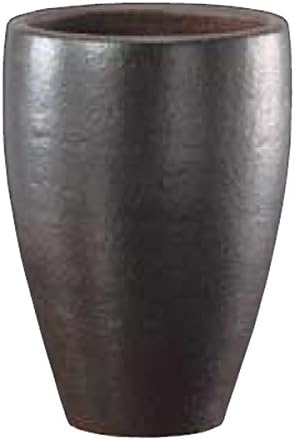 Green Pot Cha Cha Seed 22cmft – pt852 – 1