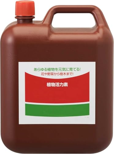 ACɈĂ Ԃ؂A؂܂ A͍ h{ 5L 100{ [sAi]