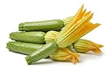 Semi ZUCCHINE DA FIORE O FIORI DI ZUCCA In Busta Ermetica MADE IN ITALY Qualità superiore con 95% di germogliazione con istruzioni