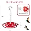 2 Pack Hummingbird Feeders for Outdoors Hanging with 30 Feeding Ports Saucer Humming Bird Feeder with Integrated Ant Moat Bee-Proof Leak-Proof No Drip, Easy Cleaning and Refill #5