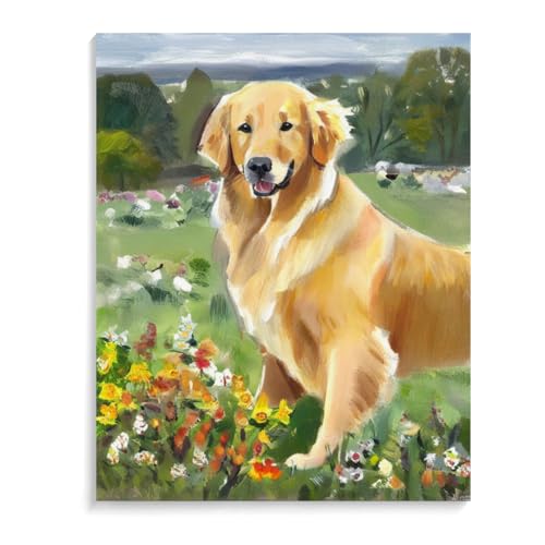 Paint by Numbers for Adults Beginners Golden Retriever Dog Gift Birthday Anniversary or Any Festival. DIY Acrylic Painting Kit for Room Decor Canvas 16x20inch(40x50cm) Frameless