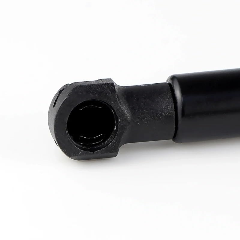 BIAREN Lot De 2 Vérins à Gaz Pour Hayon Arrière Pour Smart