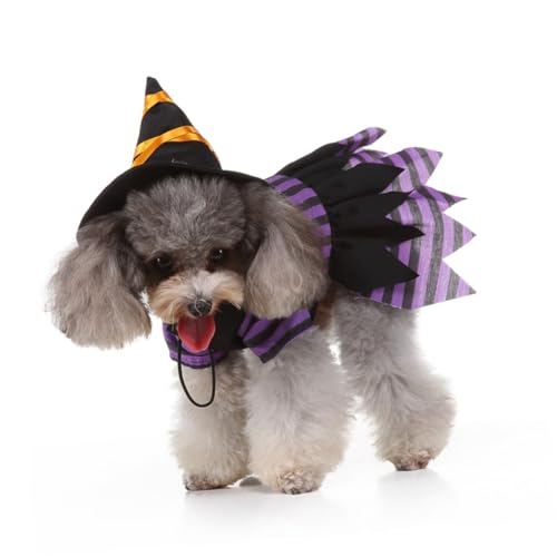 Disfraz Halloween Bruja para Perro Talla L miniatura 7