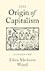 The Origin of Capitalism: A Longer View