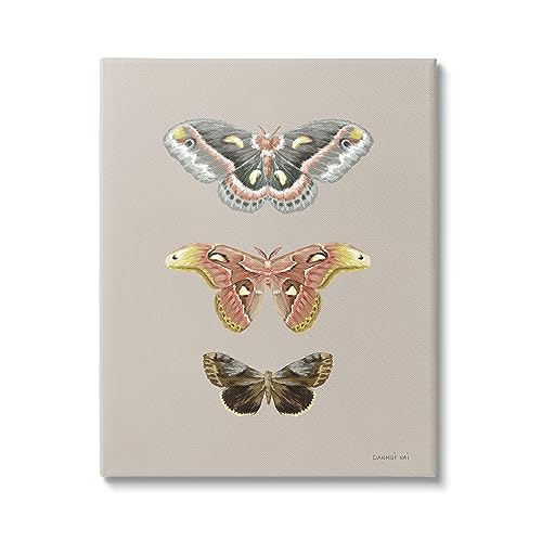 Image of Stupell Industries 'Vintage Moth Specimens'| Canvas Art | Stupell Industries | 24 x 30 Inches, Easy to Hang and Sturdy, Made in USA, by Danhui Nai