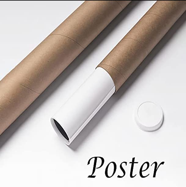 Pelvic Floor Anatomy Poster, Physical Therapists Osteopaths, Pelvic Physical Therapy, Anatomical Education Study Teaching, Pelvic Floor Educational Poster Pelvis Wall Art Vertical Poster And Canvas