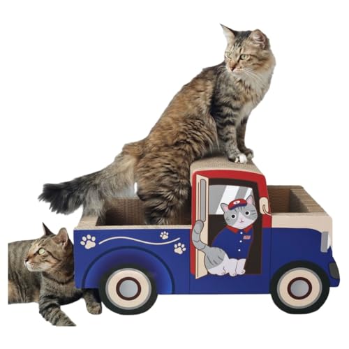 TAYTHILp܂Ƃ{[hAi{[LpVяALpnEXALbgc[̌AԁALpA܂ƂALpgCALpi (I,60x27x33cm)