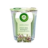 Air Wick Vela Aromática Perfumada con aroma a Pino del Bosque y Copos de nieve 105gr