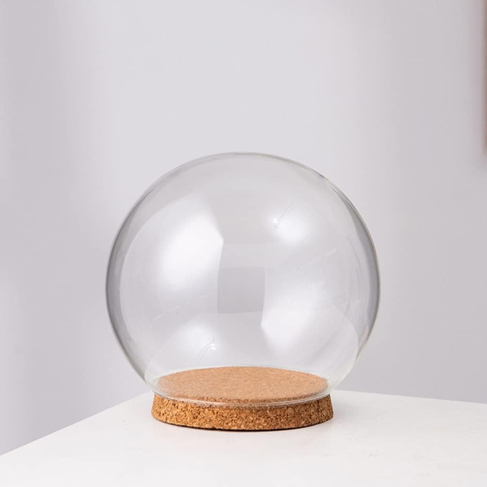 5pcs Clear Glass Cloche Globe Display Dome with Wooden Base Decorative Glass Cloche Bell Jar Display Case for Collectibles Enchanted Rose Small Beer Specimens Snow Globes Crafts 10cm