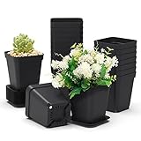 Hinsly Anzuchttöpfe Eckig mit Untersetzer, 20 Stück Pflanztöpfe Anzucht Kunststoff Blumentopf Anzuchttopf Töpfe Klein für Sukkulenten, Gärten, Innenräume, Samenanzucht (7x7x8cm)