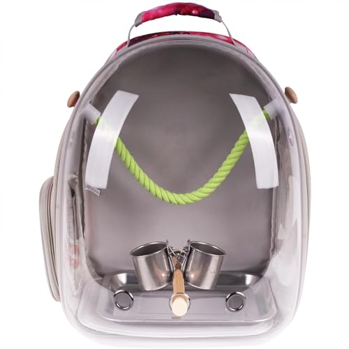 Gaiola de transporte de pássaros, cápsula espacial, mochila transparente para carregar e transportar