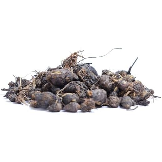 Nut Grass 100 Gms