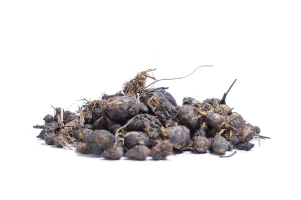 Yapon ayolini sikayotgan uch kishi surati