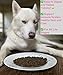 Pure Being Premium Dog Food SalmoPure Being Premium Dog Food - Deboned Salmon and Sweet Potato Recipe - Grain Free - Made in USA