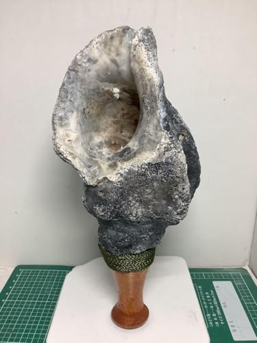 山伏・修験者・金峯山・羽黒山・戦国武将・法螺貝・日本百名山・熊よけ - ノーブランド品 - 商品画像