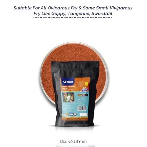 Image of Intan Breeder & Grower Food - B1 (<0.18mm Slow Sinking Crumble) | 5Kg - Highly Nutritious Ornamental Fish Food for A Range of Feed from Fry to Grow Out Stage for Viviparous & Oviparous Fish