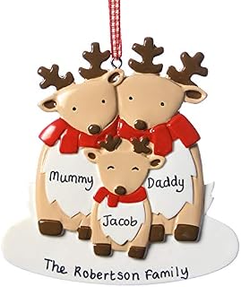 Personalised Christmas Reindeer Decoration My 1st Xmas Baby Gift family of 3 Ornament Keepsake