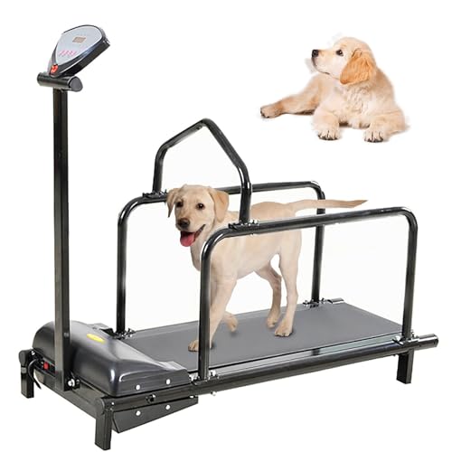 Dog Treadmill with Adjustable Speed and Display