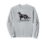 Gordon Setter