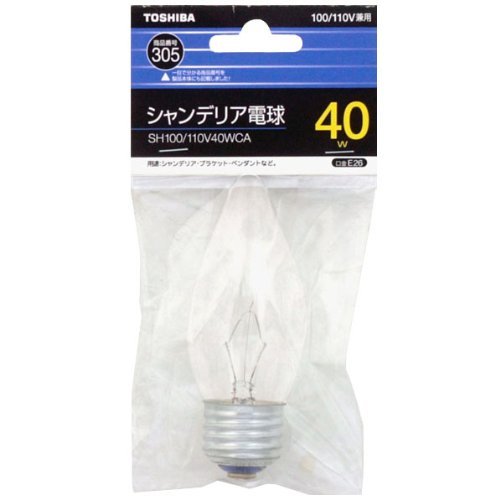  VfAd40WN[E26 SH100/110V40WCA