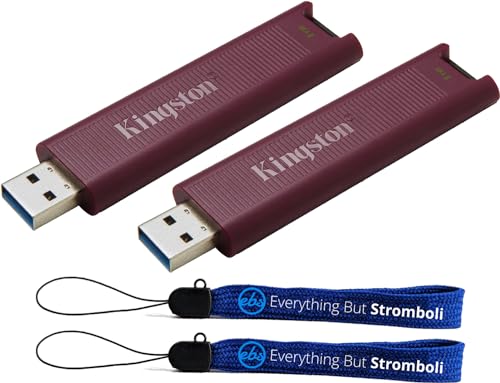 Preisvergleich Produktbild Kingston DataTraveler Max-Typ-A-Flash-Laufwerk, 1 TB, DTMAXA / 1 TB, mit 2 Everything But Stromboli Schlüsselbändern, 2 Stück