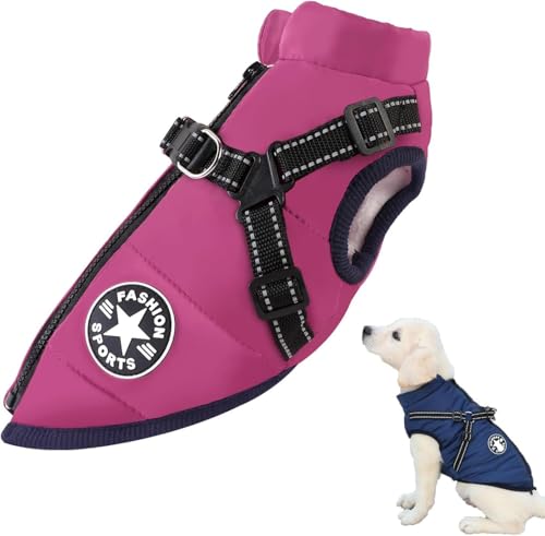 Abrigo de Invierno cálido para Perros, Chaqueta de Nieve Impermeable y Cortavientos con Tirantes y Cremallera, Chaleco Ajustable y cómodo para Gatos y Perros pequeños, medianos y Grandes