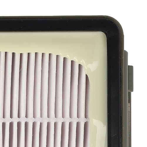 Vhbw filtro compatibile con Rowenta RH8055WA