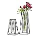 Deco 79 Glass Decorative Vase Tube Centerpiece Vases with Metal Stand, Set of 2 Flower Vases for Home Decoration 13', 9'H, Black immagine