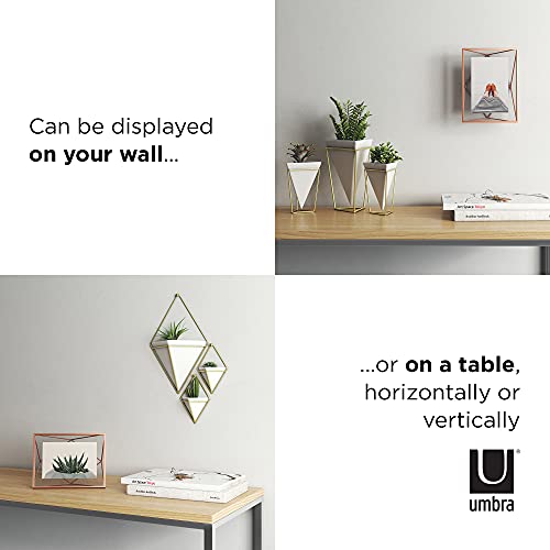 Umbra Prisma 10x15 cm Bilderrahmen - Wand- und Tisch Fotorahmen für Bilder, Kunstdrucke, Illustrationen und Mehr, Metall… – Bild 6