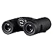 Wingspan Optics FieldView 8X32 Compact Binoculars for Bird Watching. Lightweight and Compact for Hours of Bright, Clear Bird Watching. Also for Outdoor Sports Games and Concerts