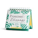 Promises & Blessings: Scripture Verses for Every Day of the Year – KJV Version (An Inspirational...
