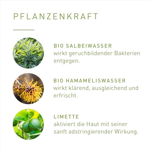 PRIMAVERA Lebensfreude dezodorant w kulce 50 ml – dezodorant w kulce, naturalny kosmetyk, limonka, zapach imbiru, 24-godzinna ochrona bez soli aluminium – wegański