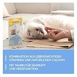 GimCat Kitten Tabs - Funktionaler Katzensnack speziell für junge Katzen ab der 6. Woche - 1 Beutel (1 x 40 g)