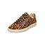 Brown Leopard
